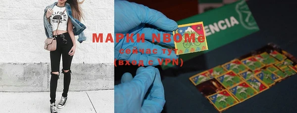 прущие грибы Михайлов