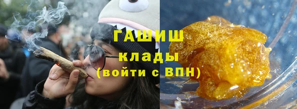 прущие грибы Михайлов