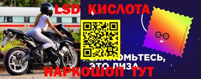 стафф Берёзовский