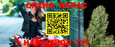 стафф Берёзовский