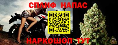 стафф Берёзовский