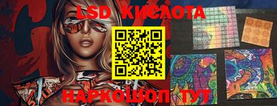 стафф Берёзовский