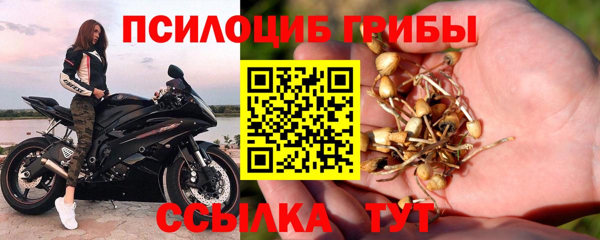 Галлюциногенные грибы Краснознаменск