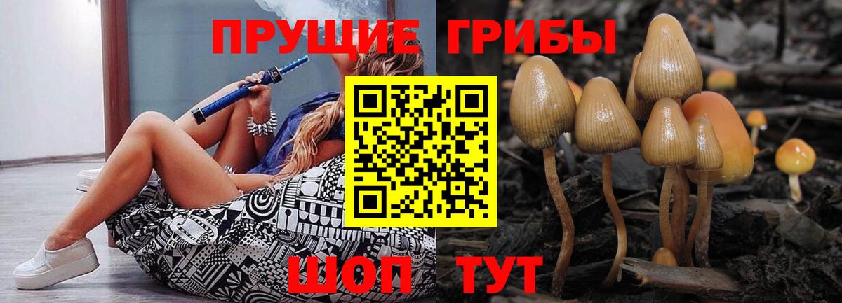Краснознаменск  Псилоцибиновые грибы Psilocybine cubensis  Вход с VPN 