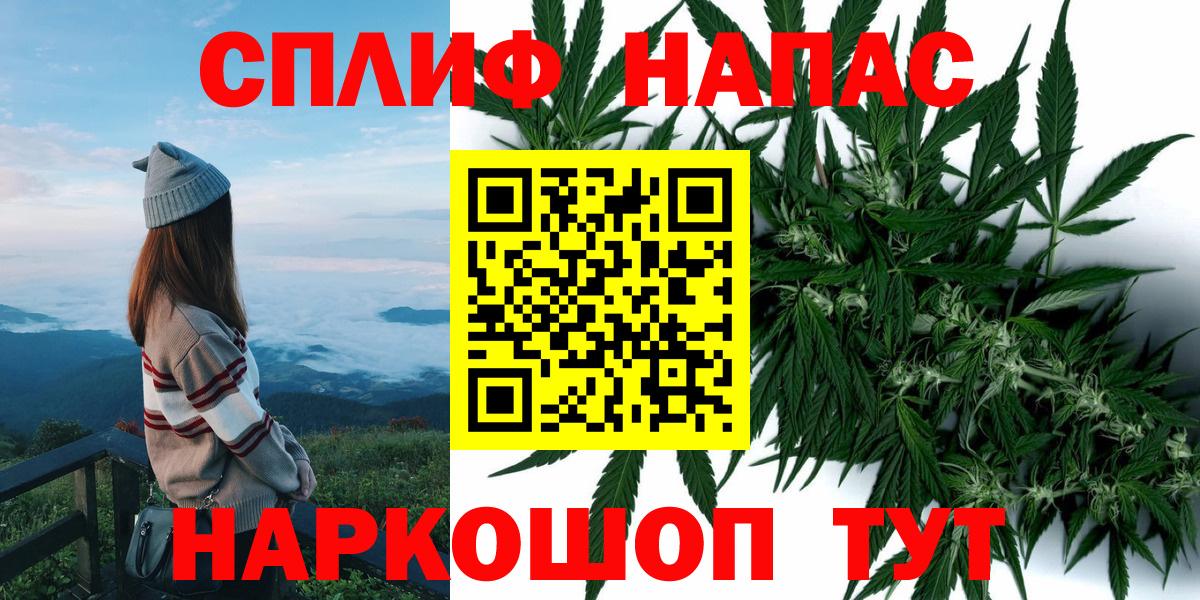 Каннабис ГИДРОПОН  Вход с VPN  Краснознаменск  Бошки Шишки AK-47 